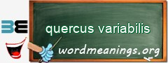 WordMeaning blackboard for quercus variabilis